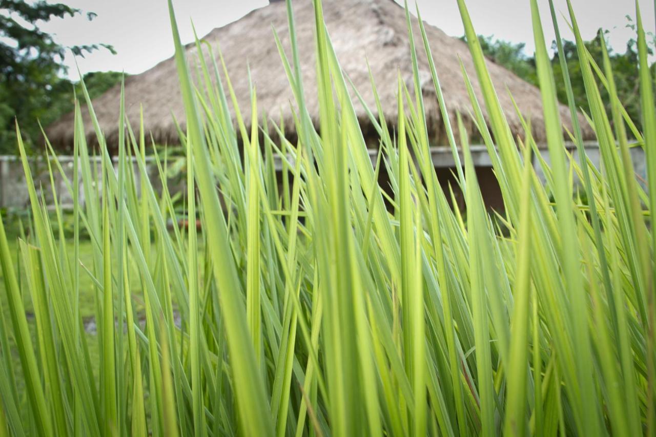 Calvary Home Mae Rim Eksteriør bilde